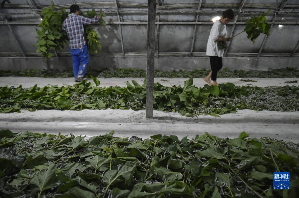 电脑怎么下载申博